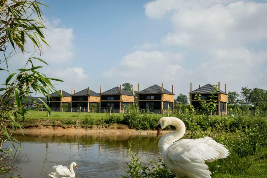 Camping Nieuw Romalo Voorthuizen Εξωτερικό φωτογραφία